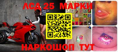 a pvp Рыбинск