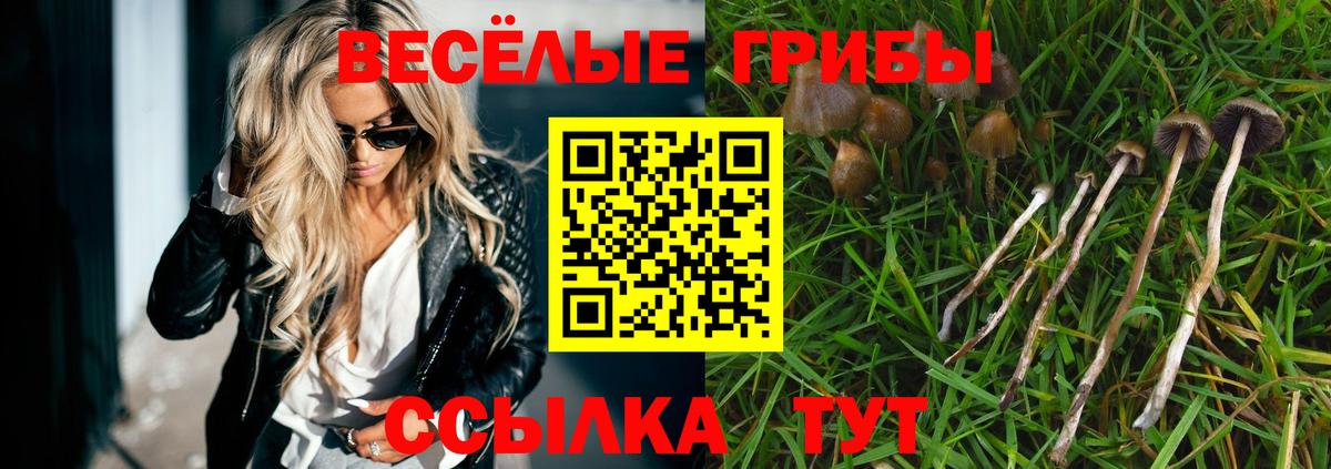 Галлюциногенные грибы GOLDEN TEACHER  Галлюциногенные грибы ЛСД  Вход с VPN  Находка 